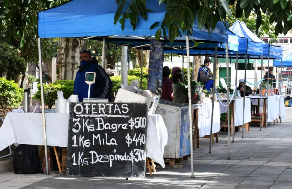 Feria de la Economia Social (3)