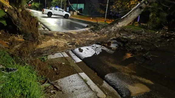 Murió una mujer tras ser aplastada por un árbol que cayó sobre su vivienda durante el temporal en Concordia