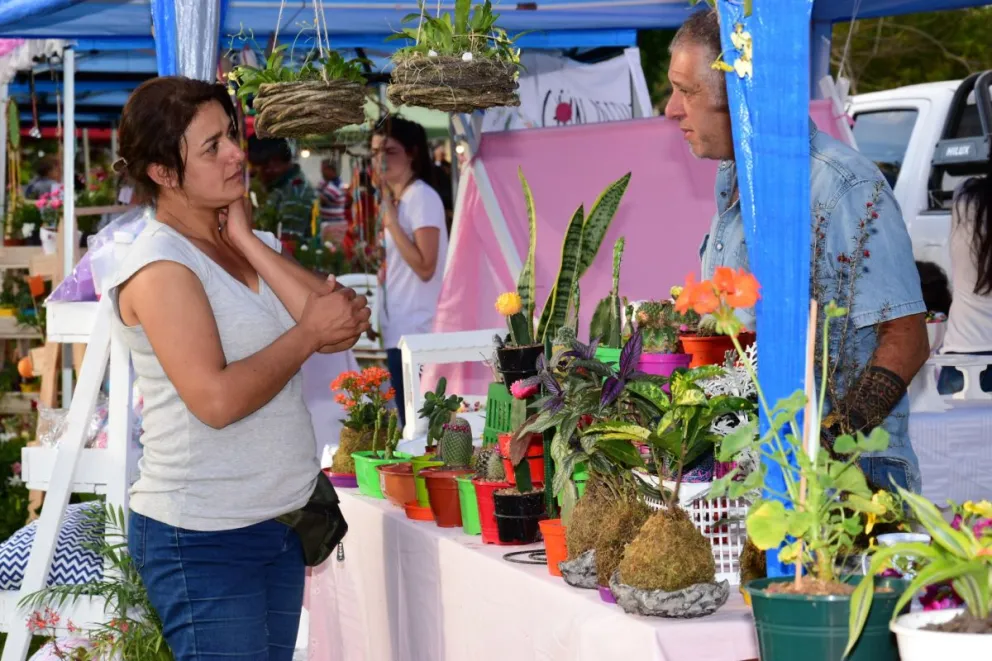 FERIAS - CONCORDIA (4)