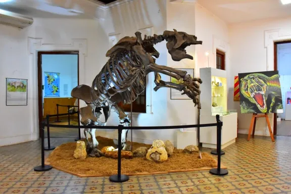 El Museo de Antropología y Ciencias Naturales de Concordia celebra 30 años preservando la historia regional