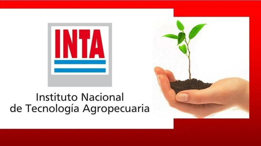 inta (1)