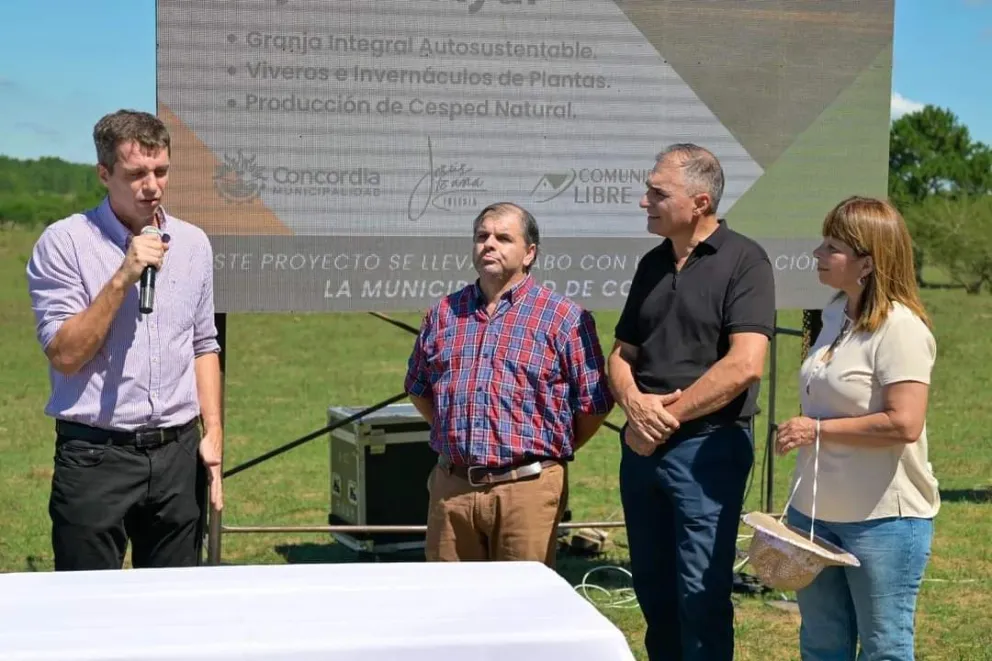 PROYECTO AYUI (4)