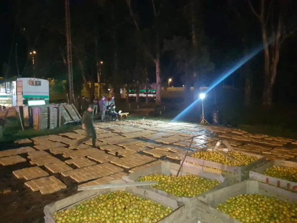 camionero_intento_huir_con_mas_de_1.800_kilos_de_marihuana_ocultos_en_una_carga_de_mandarinas_8