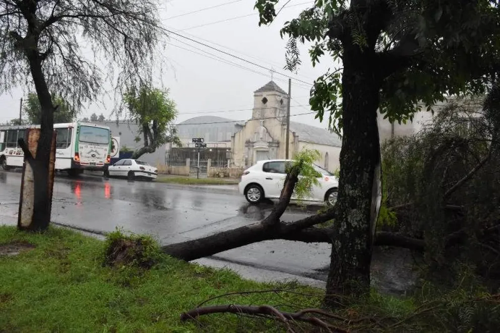Temporal 2