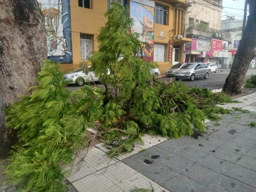 Tormenta 1