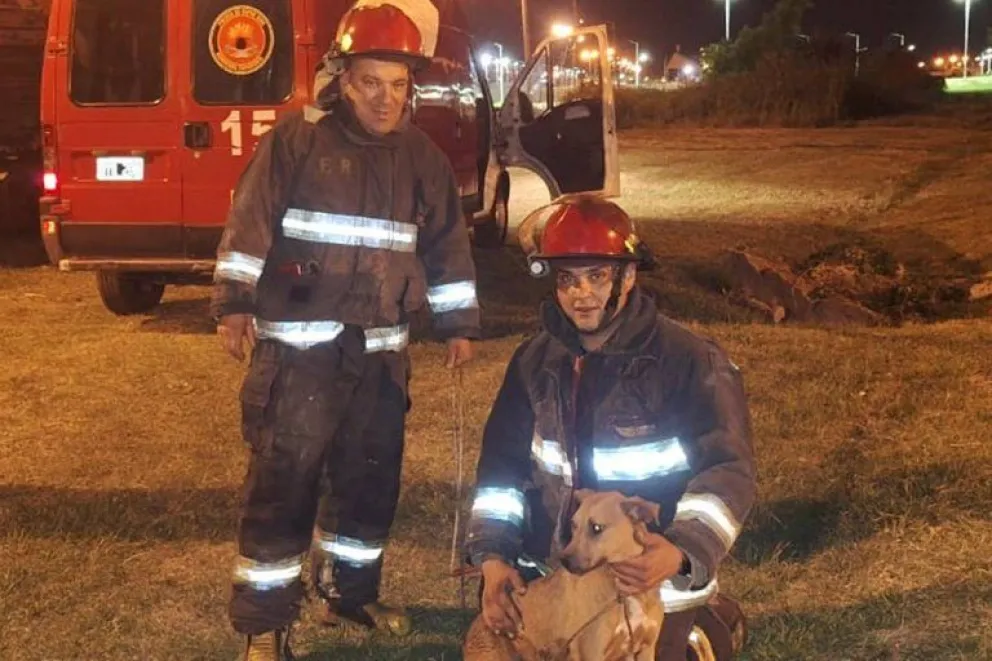 bomberos-