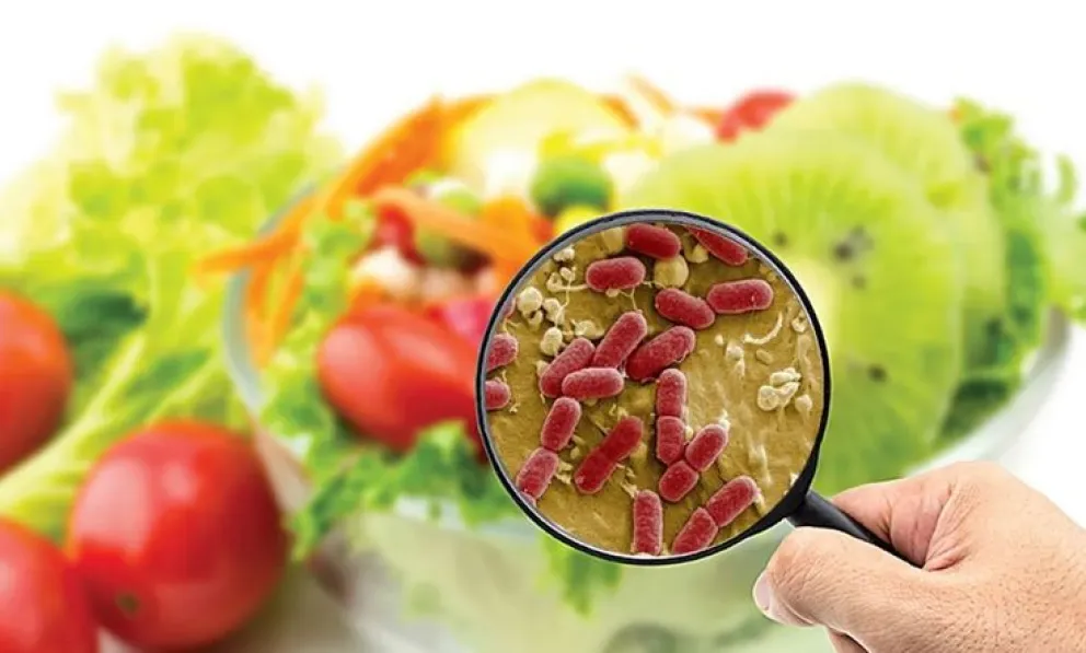 Alimentos