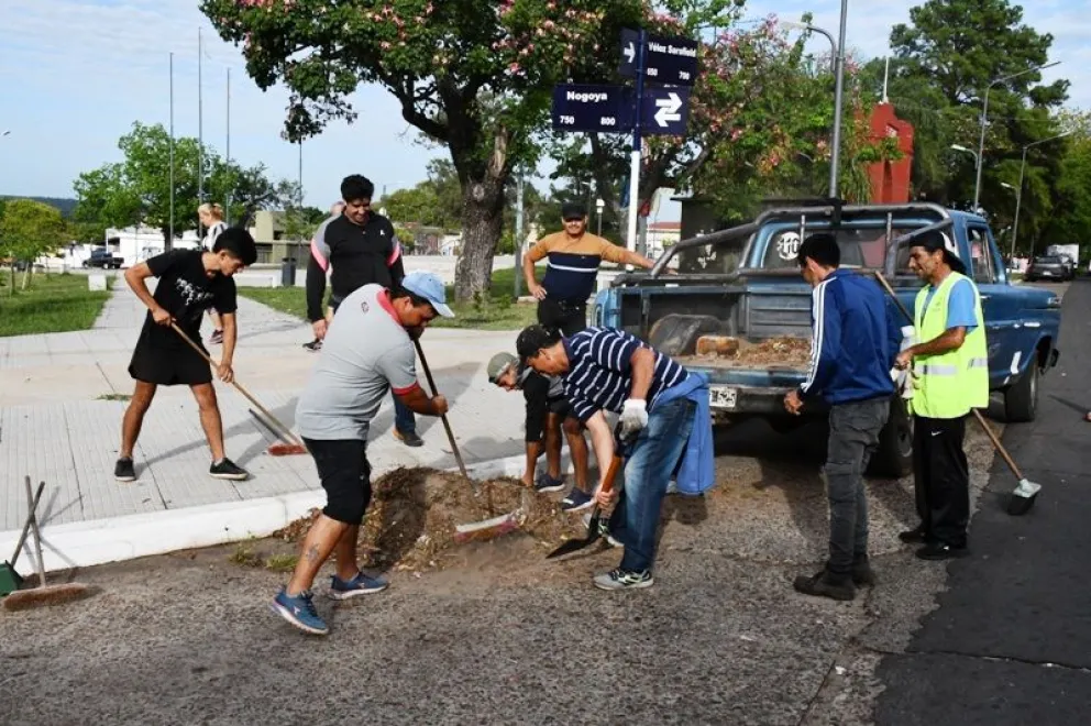 Cooperativas 1