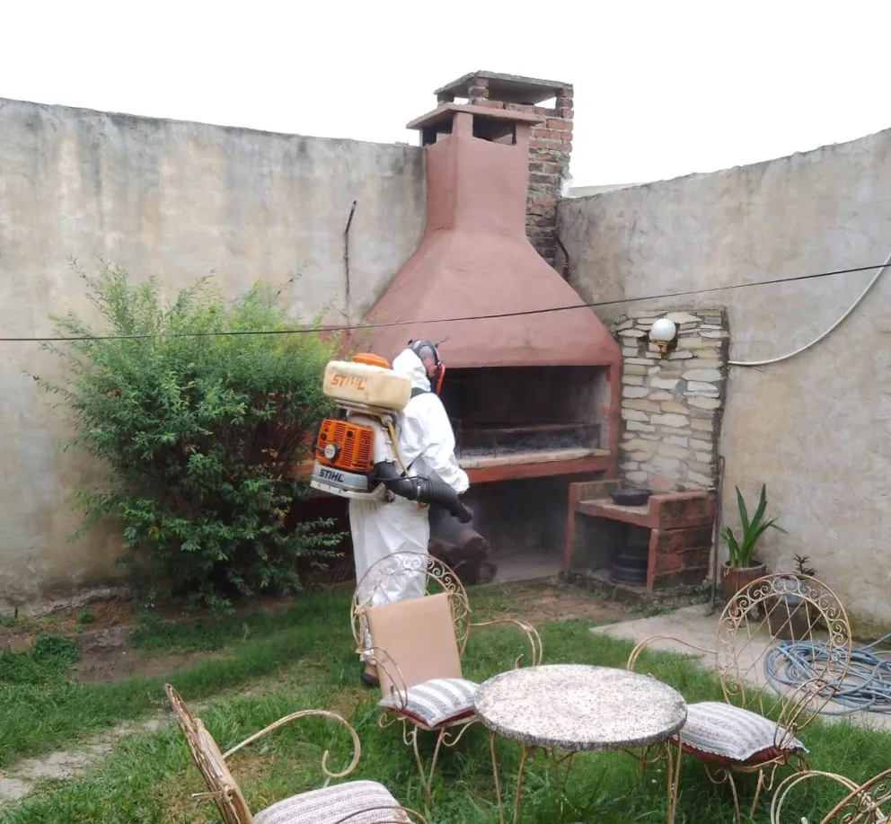 Fumigaciones 1