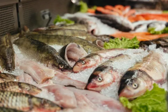 Entre Ríos amplió el cupo de pesca en el río Uruguay y endureció controles sobre la comercialización