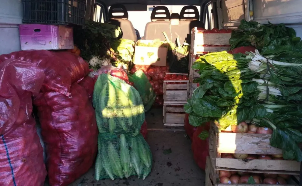 VERDURAS