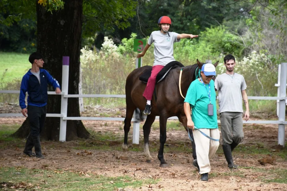 Equinoterapia 2