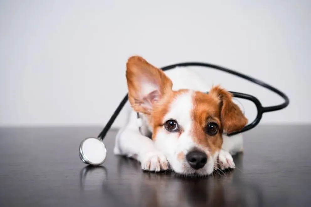 istockphoto-1224227548-612x612
