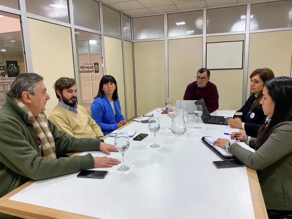 Reunión Facultad