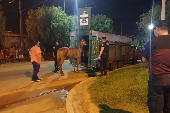 Secuestran un caballo en mal estado y demoran a un hombre por presunto maltrato animal