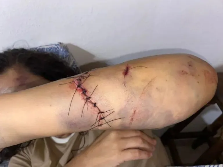 Gentileza: Chajar&iacute; al d&iacute;a