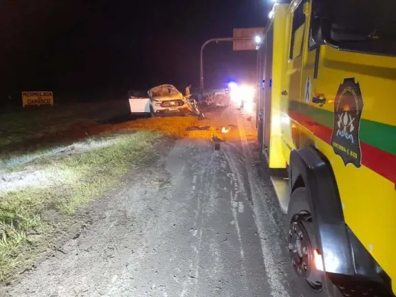 Impactante choque en la Autovía 14: un caballo provocó un múltiple accidente con camión, camioneta y auto