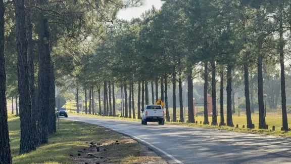 Concejales del PJ exigen medidas urgentes en el acceso a Federación tras reiterados accidentes