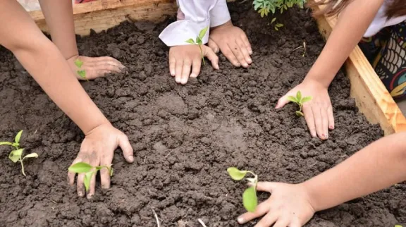 Lanzan el programa Huerta Escuela en CDI de Concordia para promover alimentación saludable y trabajo comunitario