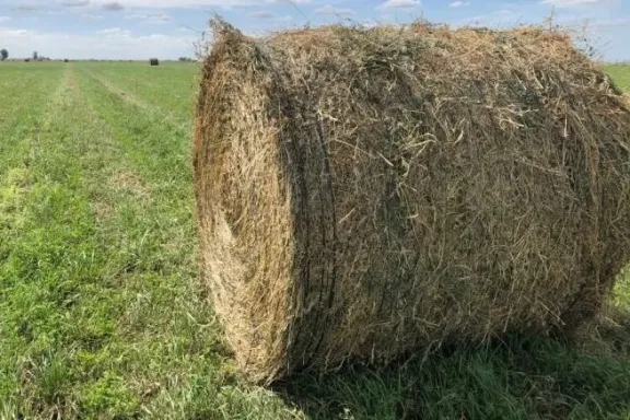 Murió un trabajador rural de 70 años tras ser aplastado por un rollo de alfalfa