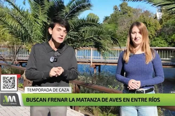 Un informe de la TV nacional expuso la matanza de aves autóctonas en Entre Ríos y apuntó contra el Gobierno provincial