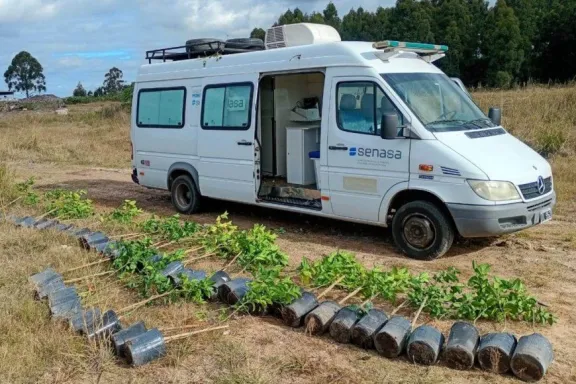 Decomisaron y destruyeron 51 plantas cítricas en Federación por riesgo de una peligrosa enfermedad