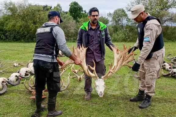 Entre Ríos: Allanaron un coto de caza por contrabando de fauna silvestre y secuestraron pruebas clave