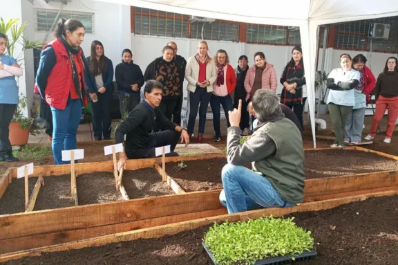 Escuelas, centros de salud y vecinos se suman al programa de huertas agroecológicas en Concordia