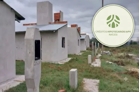 IAPV publicó los padrones definitivos del segmento prioridad del programa Raíces: conocé la nómina