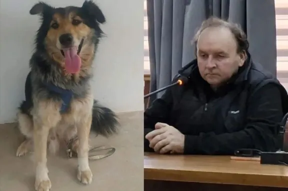 Entre Ríos: Condenan a ocho meses de prisión condicional a un hombre que ahorcó a su perro