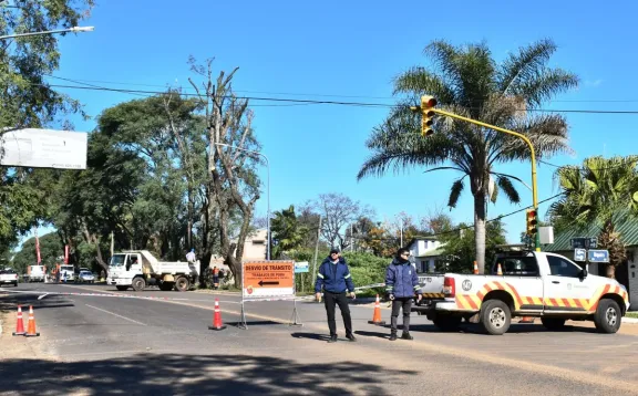 Continúan los cortes de tránsito sobre avenida Eva Perón por tareas de poda de árboles de gran porte