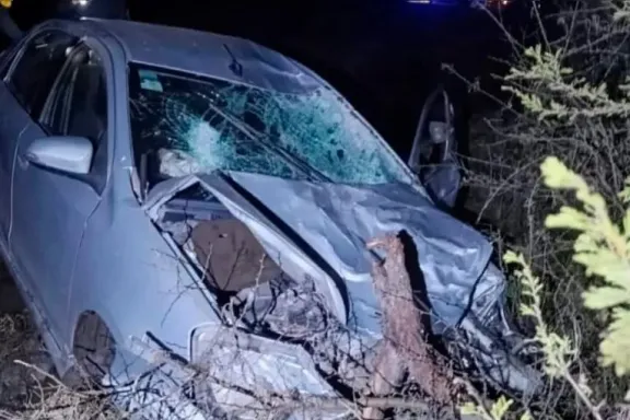 Conductor chocó contra un vacuno en una ruta entrerriana y fue trasladado al hospital Masvernat