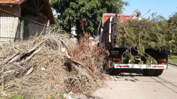 Retiro de ramas en Concordia: el servicio es gratuito funciona con un cronograma por zonas