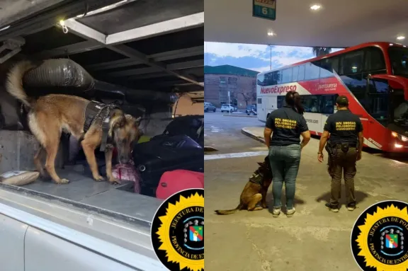 Con perro antinarcóticos, realizaron un operativo de control en la Terminal de Ómnibus de Concordia