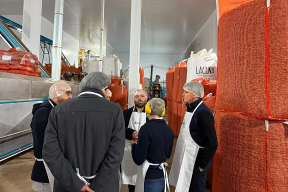 La nuez pecán fortalece su crecimiento en Entre Ríos con una planta modelo que ya exporta al mundo