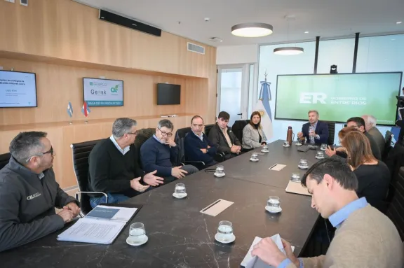 Frigerio gestionará ante Nación una rebaja en las tarifas eléctricas para las industrias madereras
