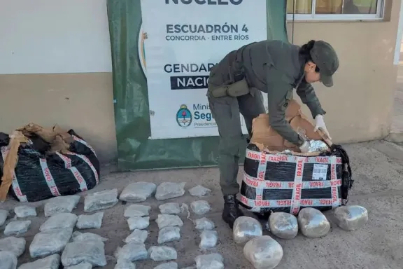 Más de 212 kilos de marihuana viajaban ocultos en encomiendas: cinco detenidos tras una investigación iniciada en Conc