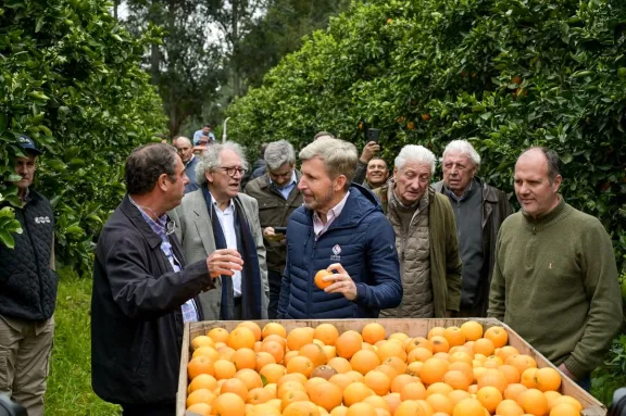 Frigerio recorrió plantaciones de cítricos en Concordia y apuntó a abrir el mercado de Estados Unidos