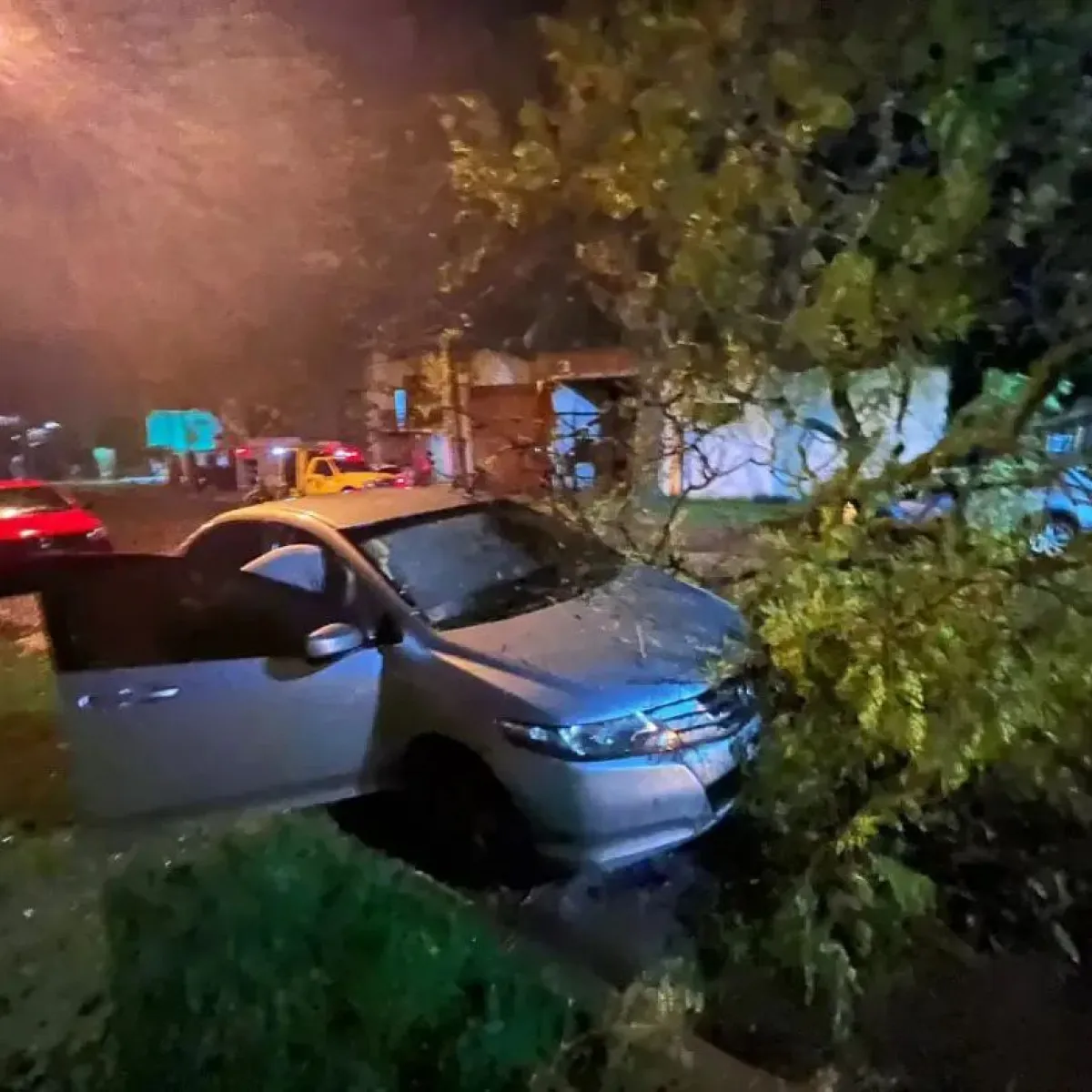 Temporal en Concordia: voladuras de techos, caída de árboles y destrozos en distintos sectores
